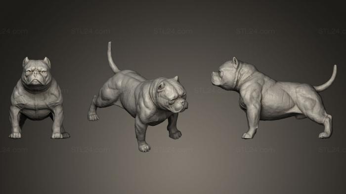 Статуэтки животных (Американская собака-хулиган, STKJ_0149) 3D модель для ЧПУ станка
